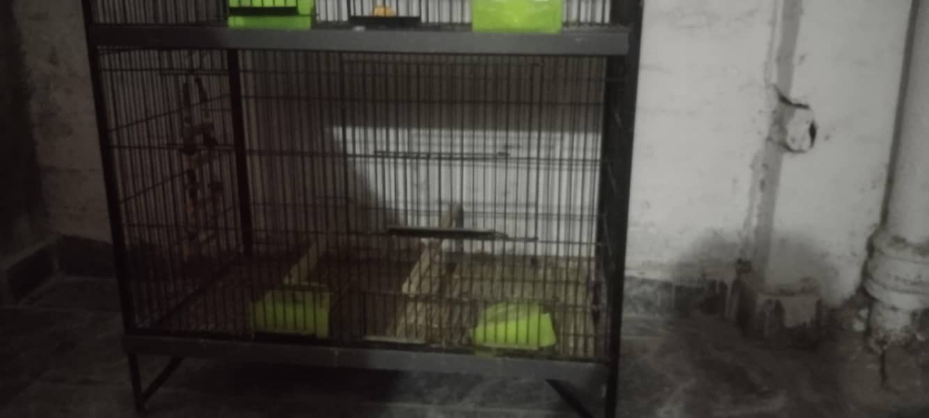 Double rack cage 0