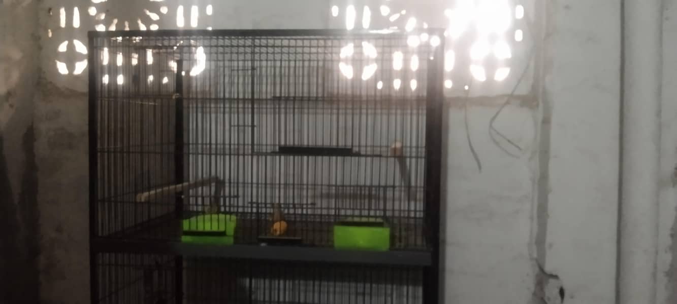 Double rack cage 1
