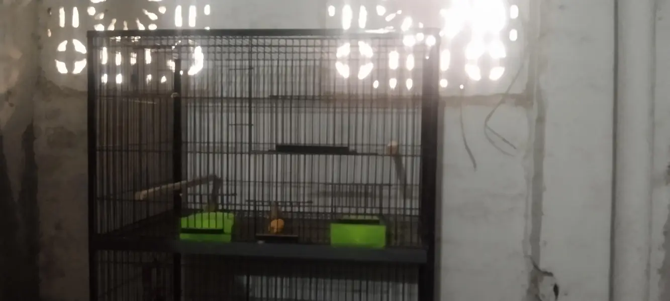 Double rack cage — photo 2