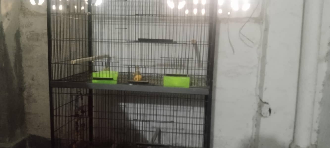 Double rack cage 2