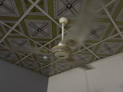 Ceiling fans for sals