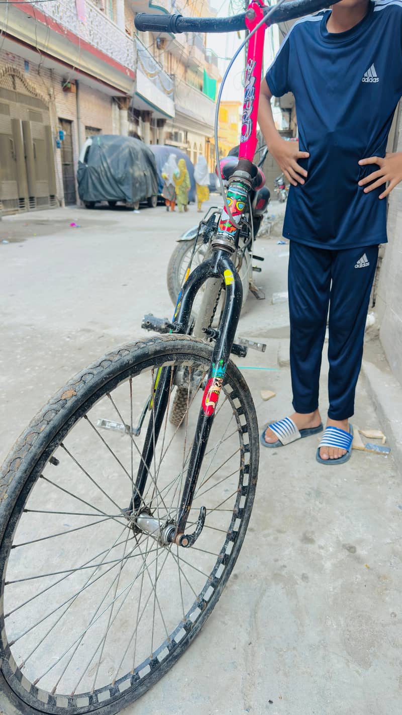 phonix Cycle Modified 1