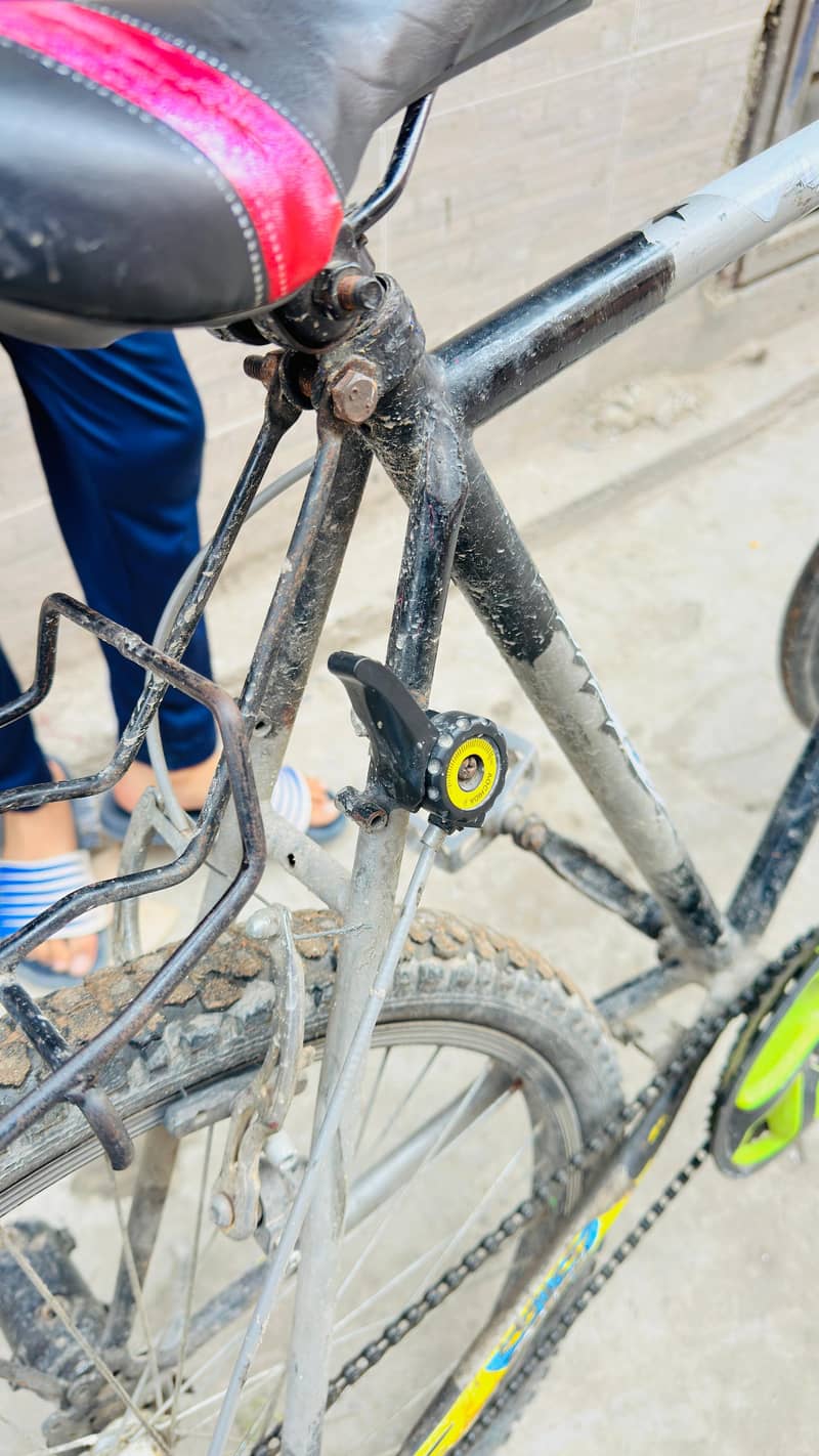 phonix Cycle Modified 2