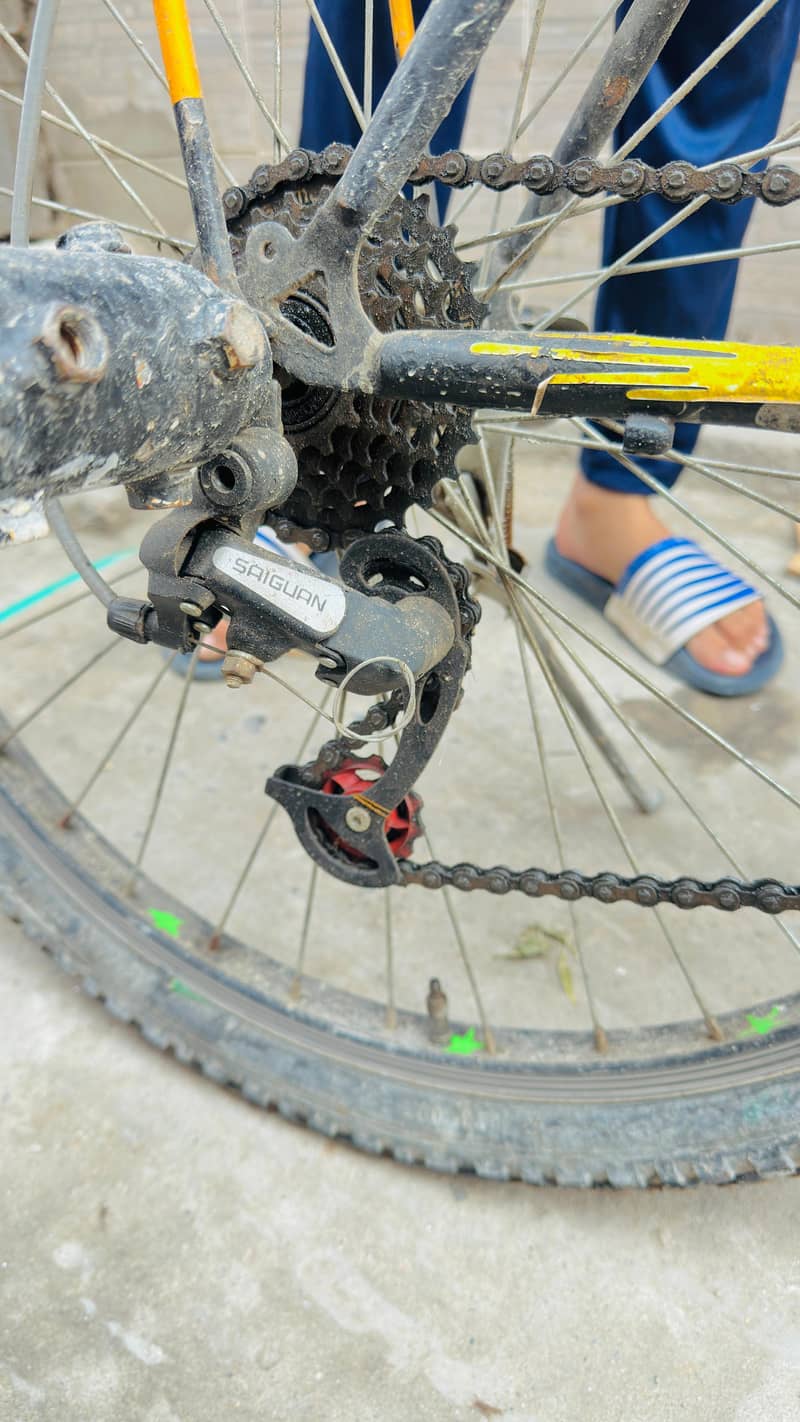 phonix Cycle Modified 3