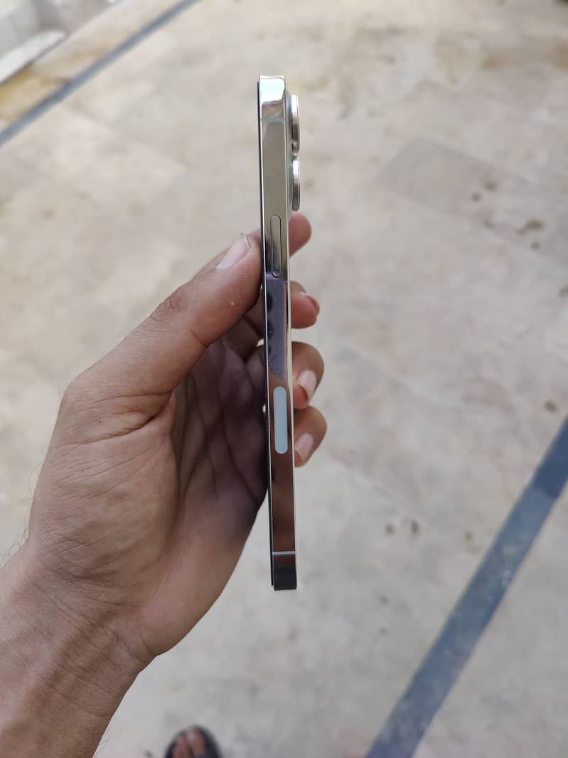 Apple iPhone 13 Pro Max 2