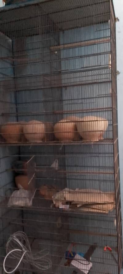 8 portion cage