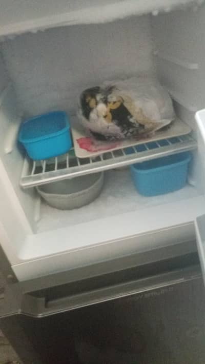 Orient  fridge