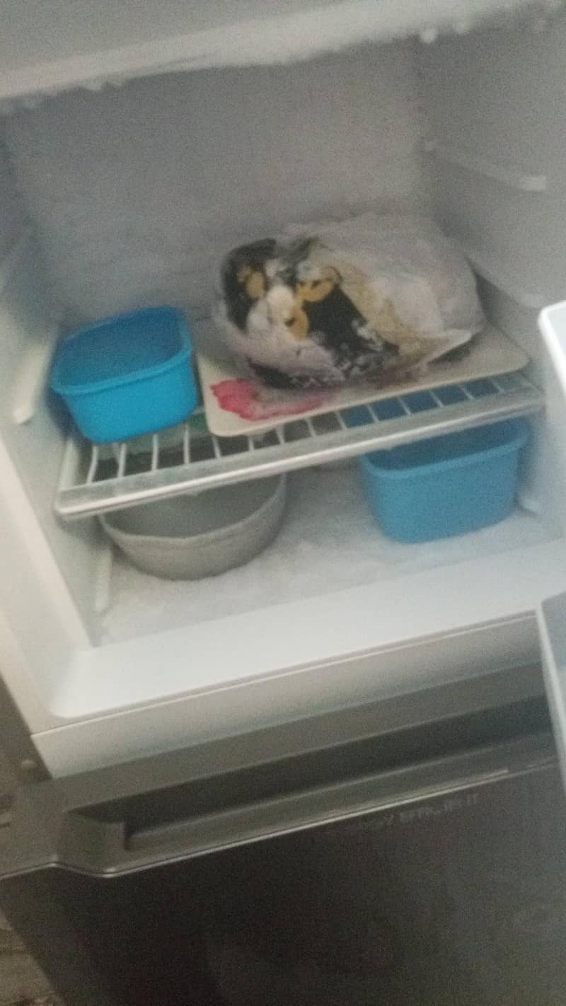 Orient  fridge 0