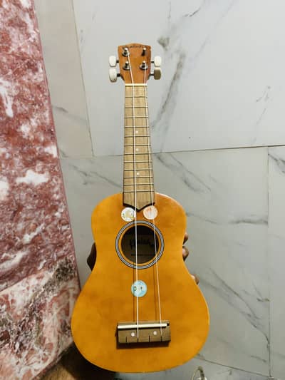 Guitar ukuleles antique item