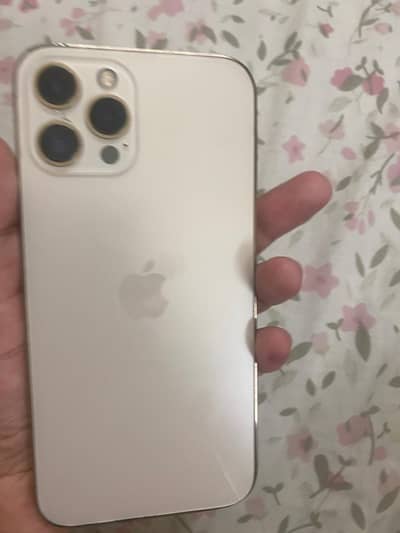 Apple iPhone 12 Pro Max