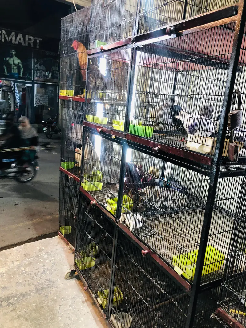 1.5feet/2.5feet  Cages In Clean And Well Condition — photo 2