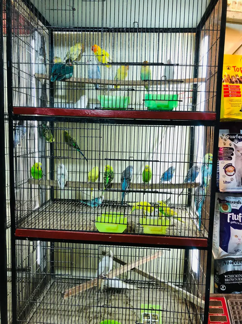 1.5feet/2.5feet  Cages In Clean And Well Condition — photo 3