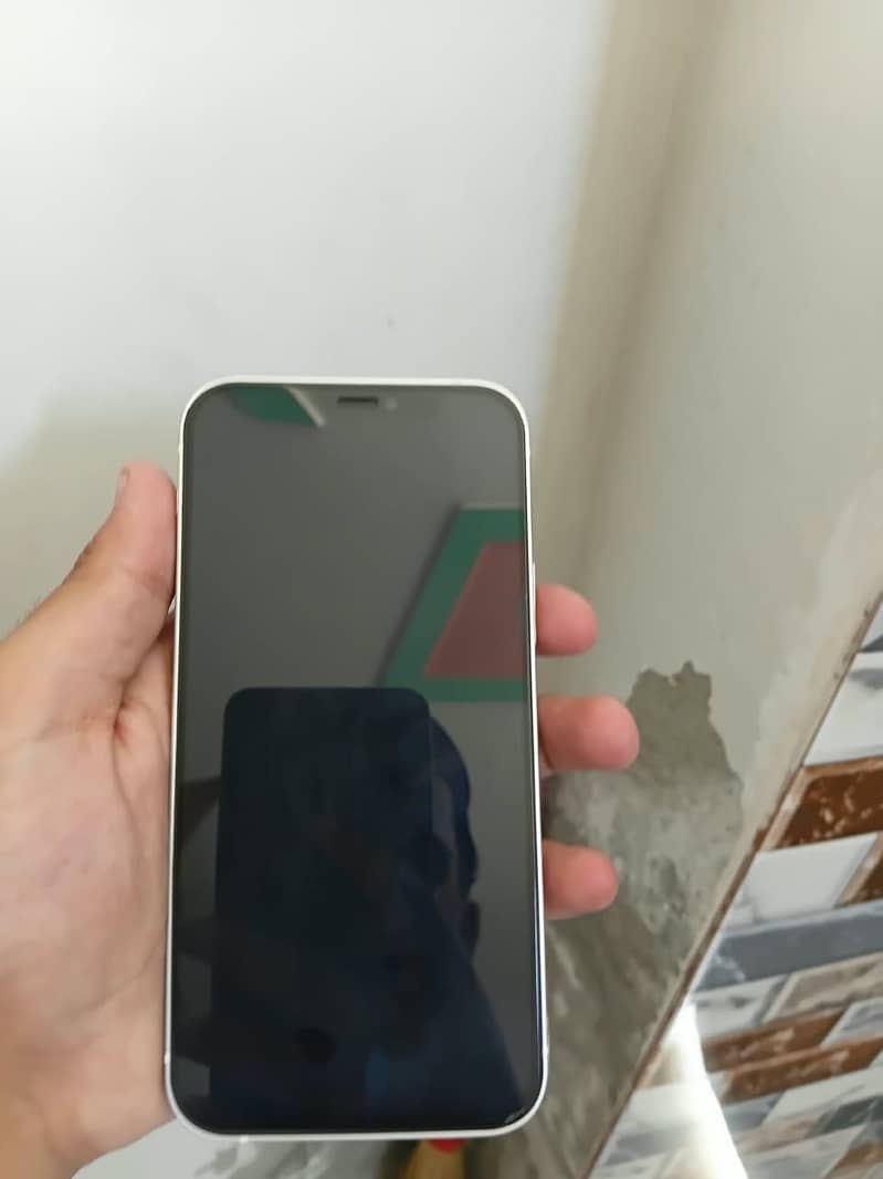 Apple iPhone 12 0