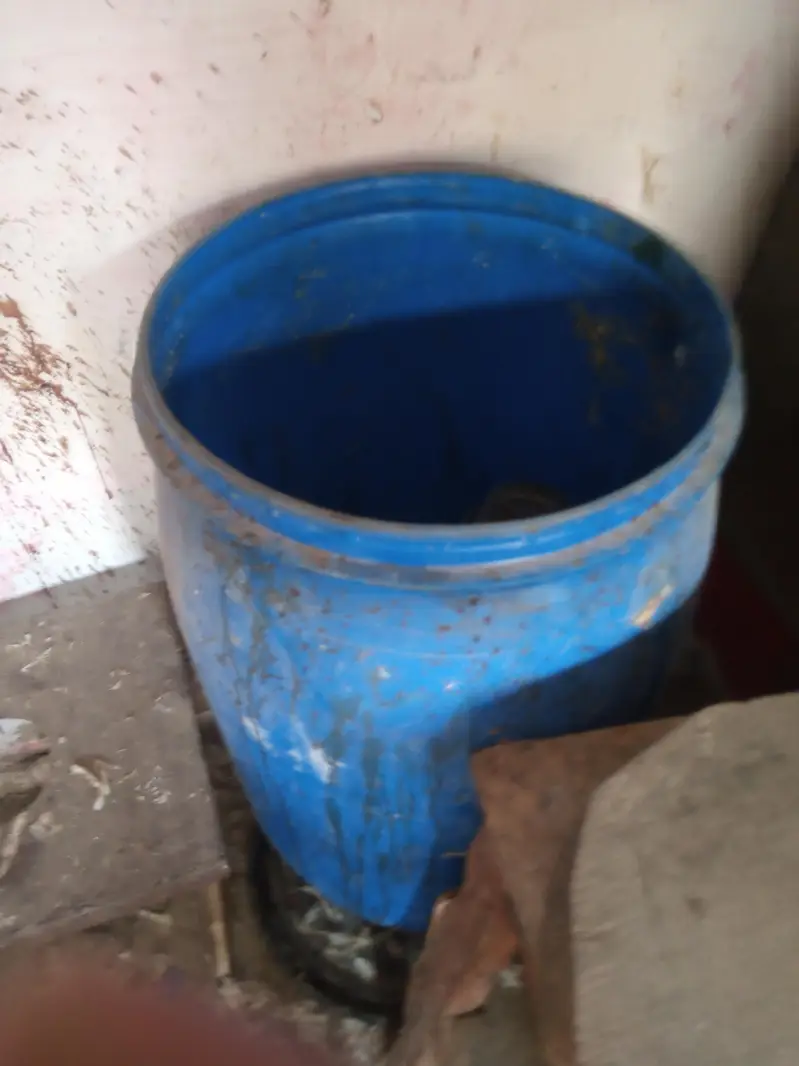phata Murgi k ghost — photo 5