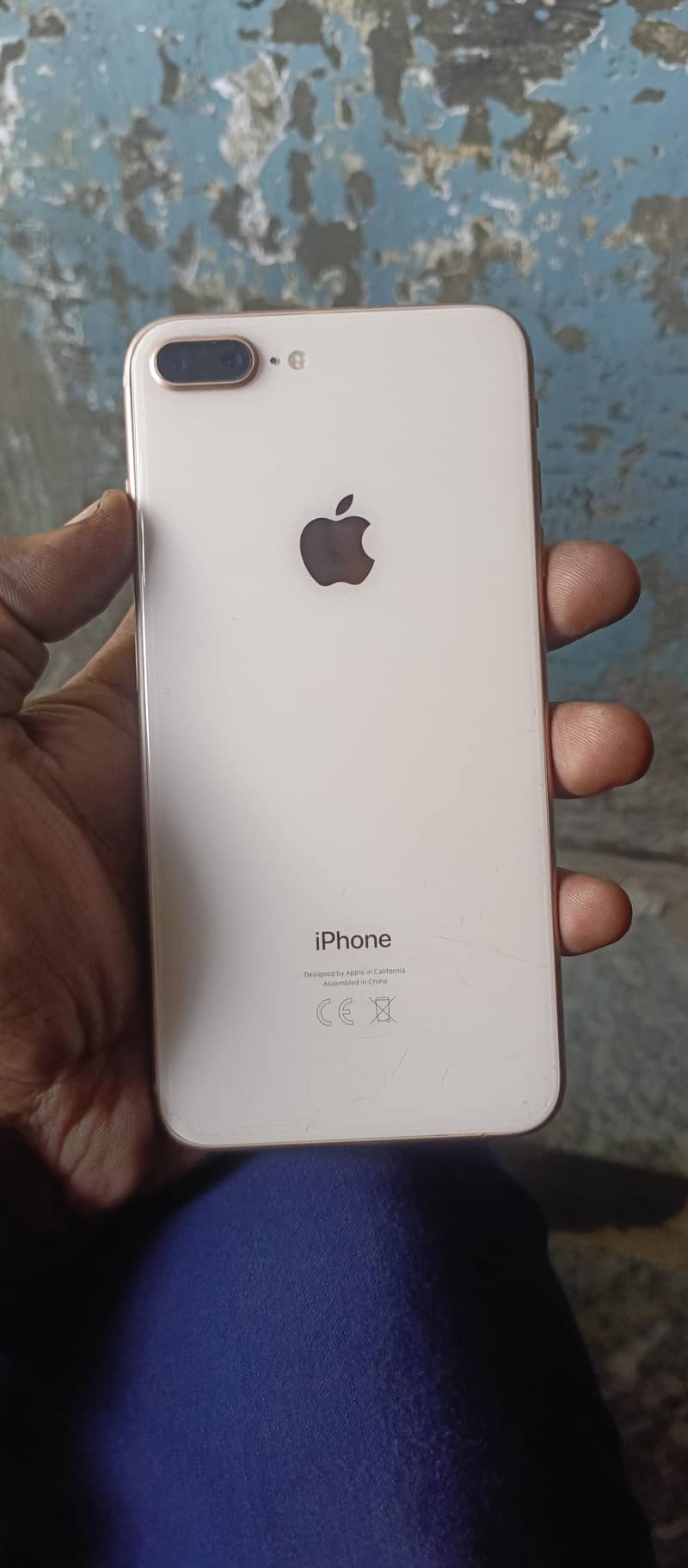 Apple iPhone 8 Plus 1