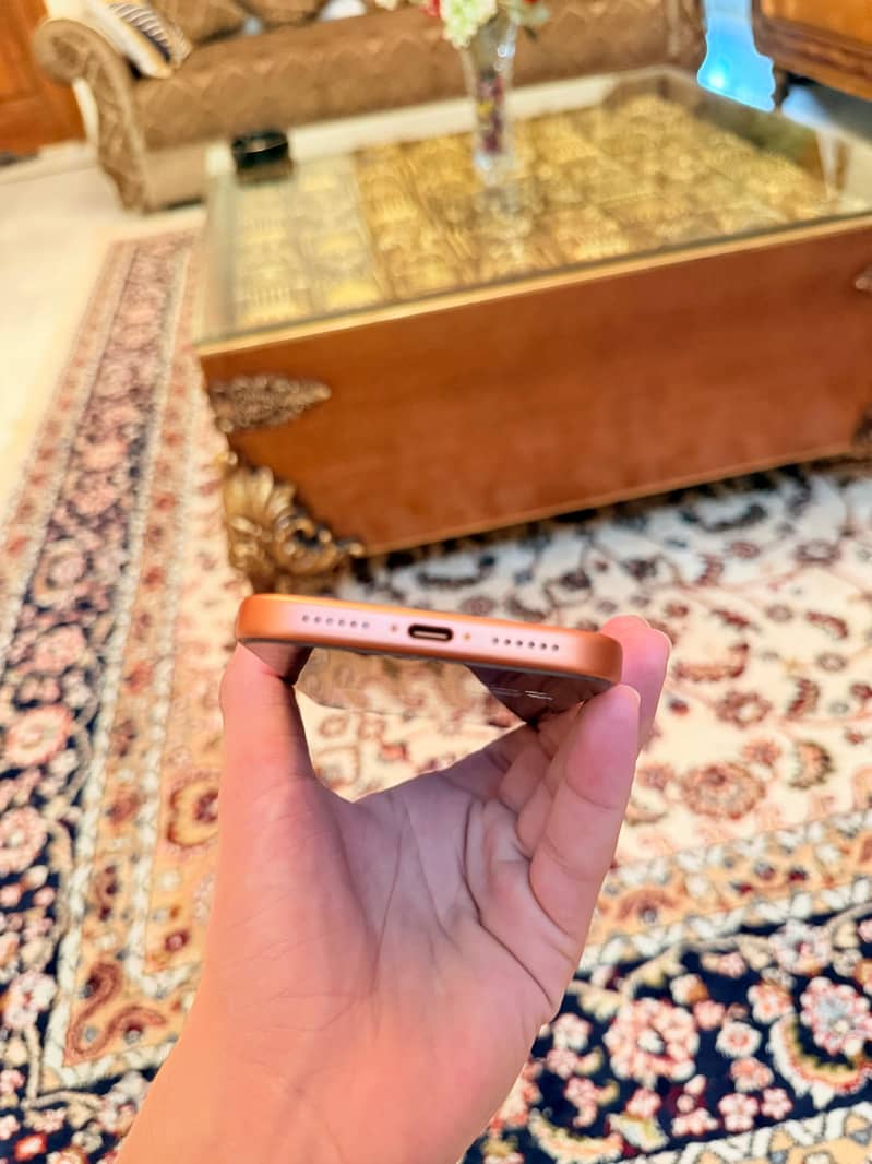 Apple iPhone 17 Pro Max 1