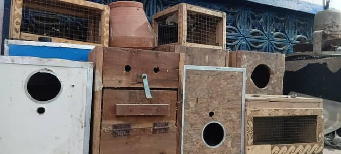 Love Bird, Cockatiel & Raw Parrot Boxes all accessori