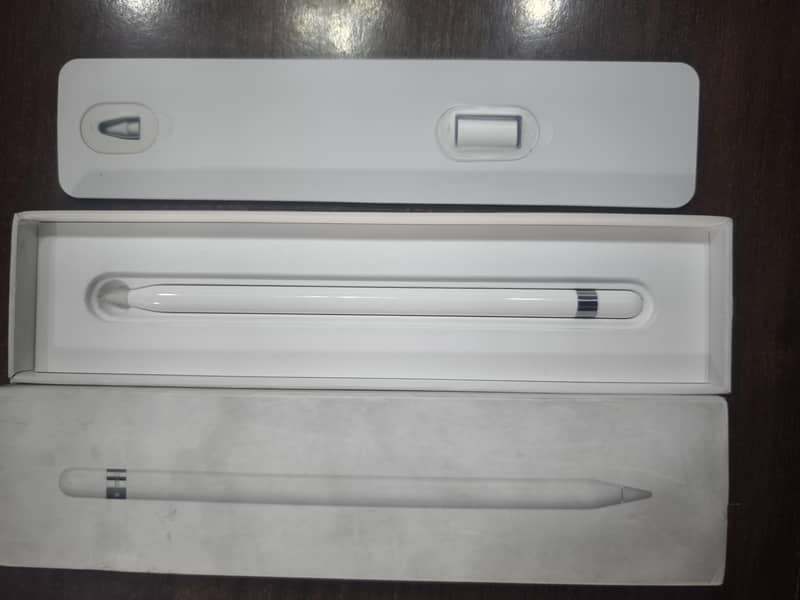 iPad pencil 1 0