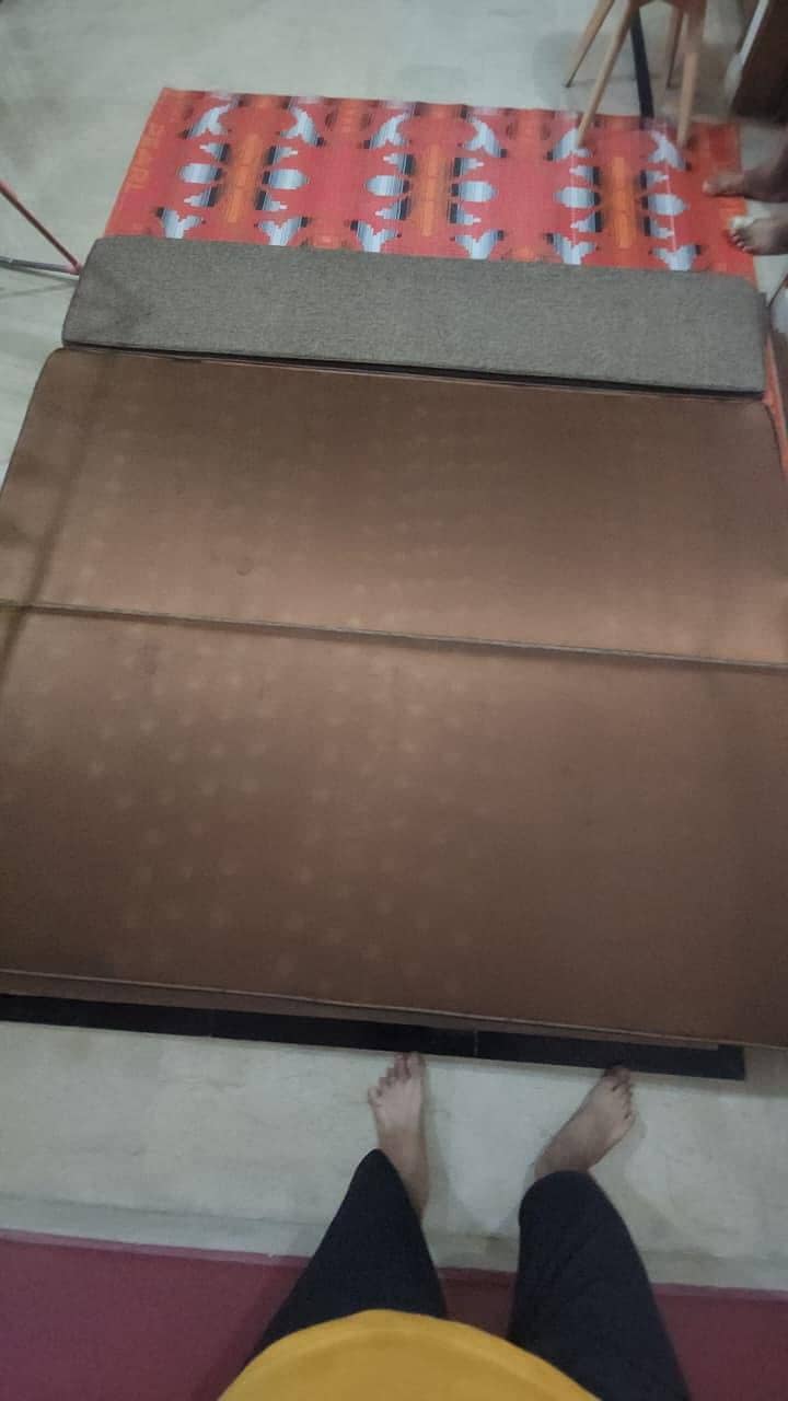 sofabed 1