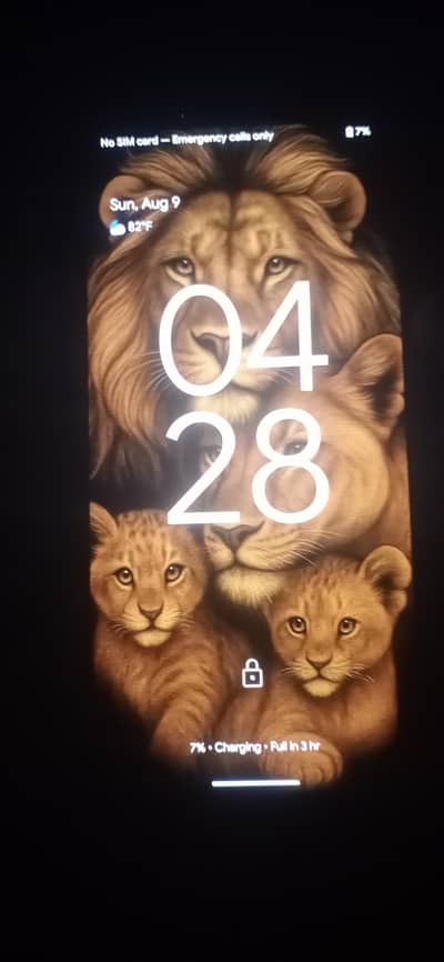 Google Pixel 4 XL 6 64