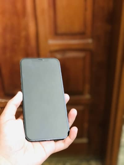 Apple iPhone 12 Pro Max