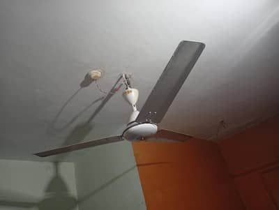 super Asia fan
