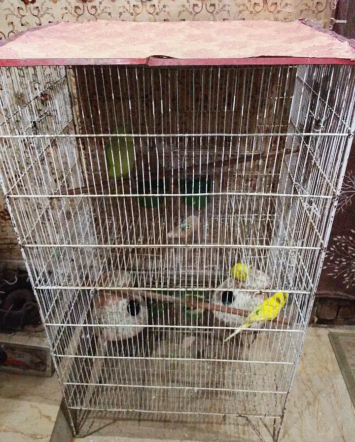 sell with cage — photo 3