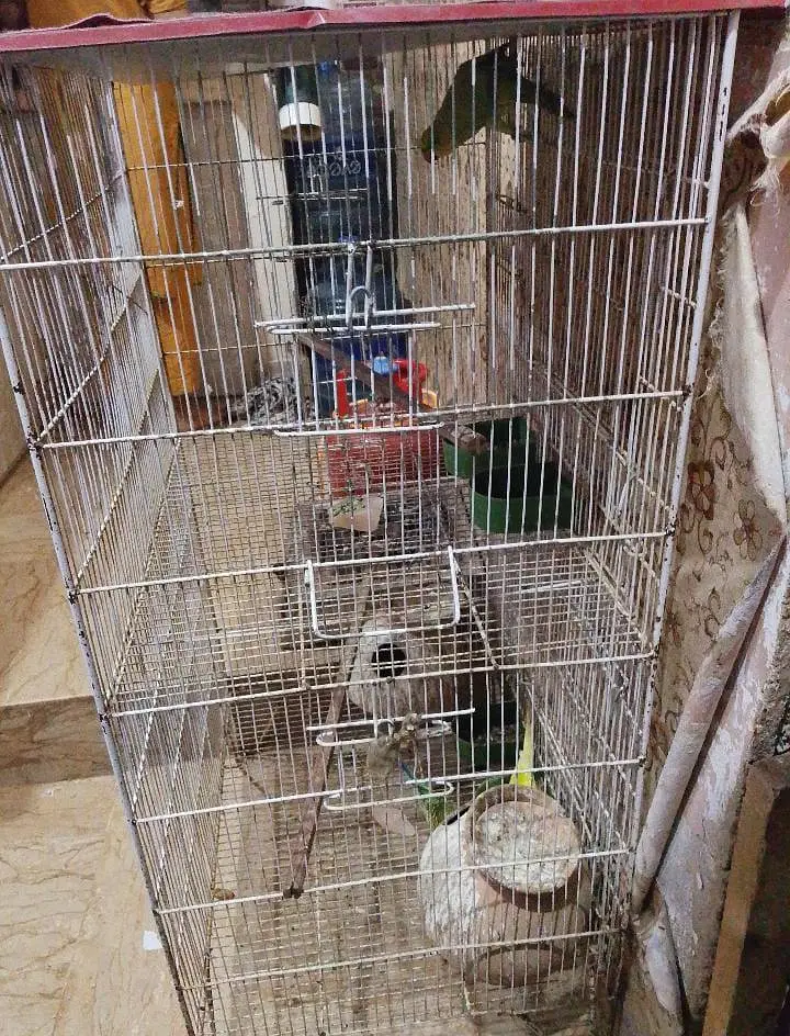 sell with cage — photo 4