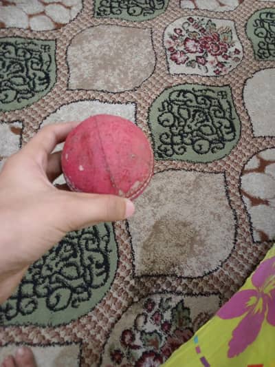 Hard Ball Cricket Ball – Good Condition