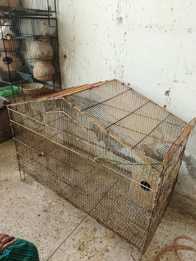 Cage available for sale