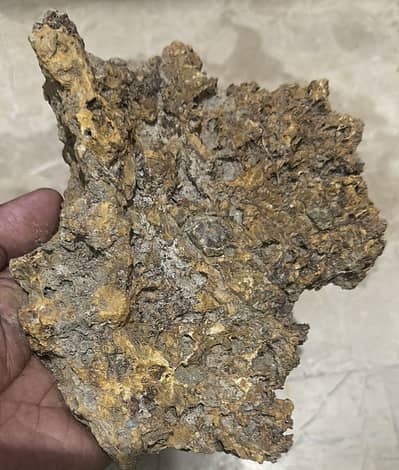 Geologist Required