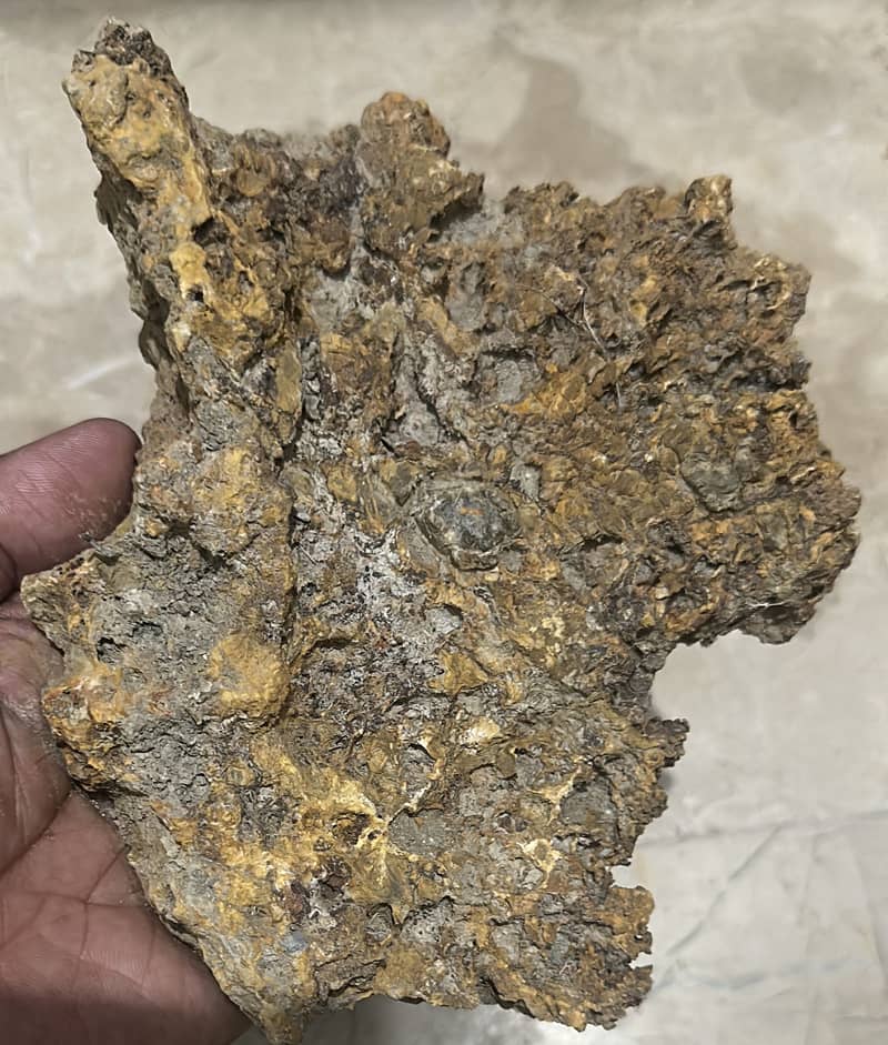 Geologist Required 0