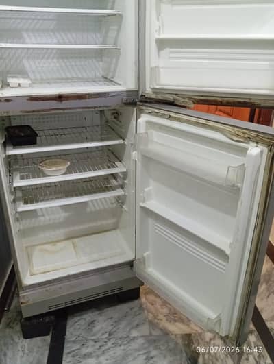 pel Fridge For Sale
