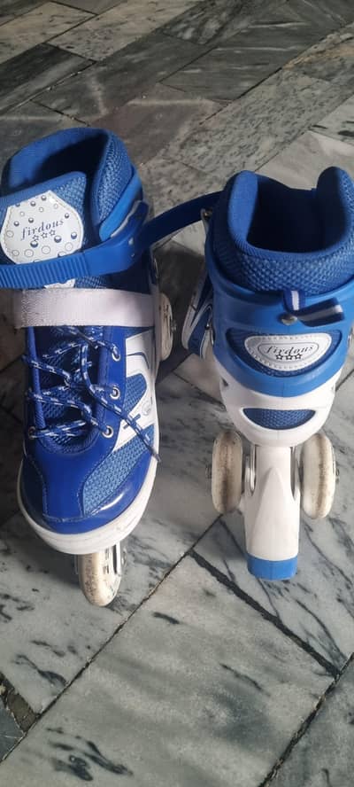 Skating shoes