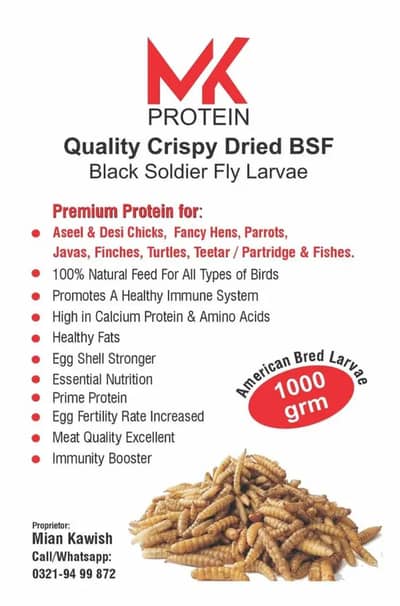 Super High Growth Protein Feed | Premium BSF Larvae Feed for Birds