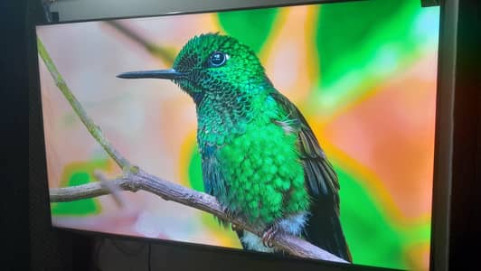 TCL 55-inch 4K Ultra HD Google TVs