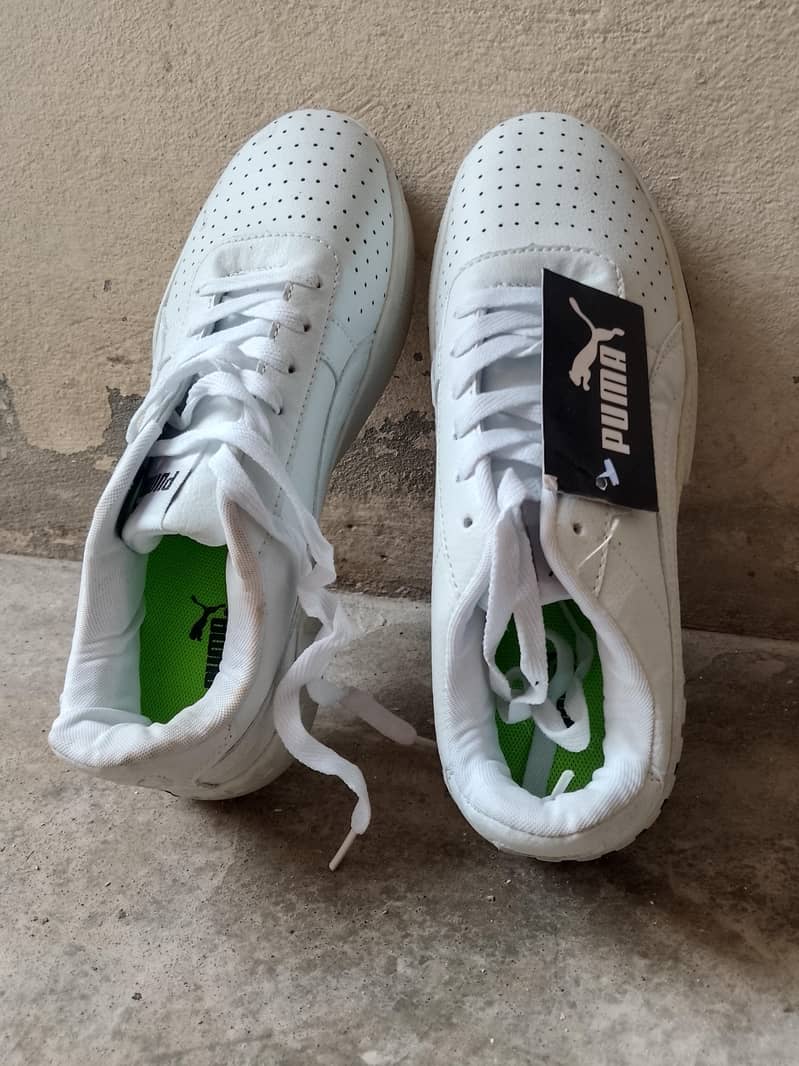 shose 1