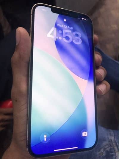 Apple iPhone 12 Pro Max