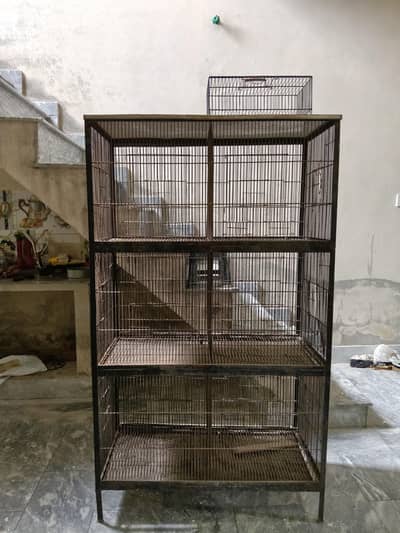 cage pinjra