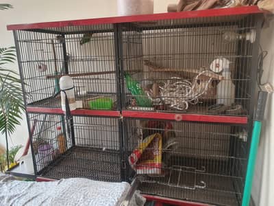 4 portion cage