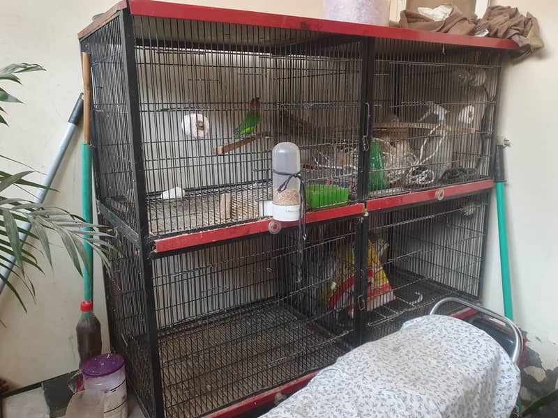 4 portion cage 1