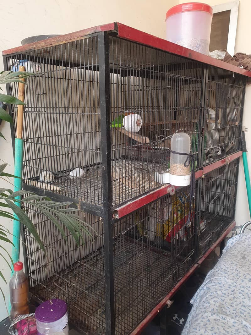 4 portion cage 2