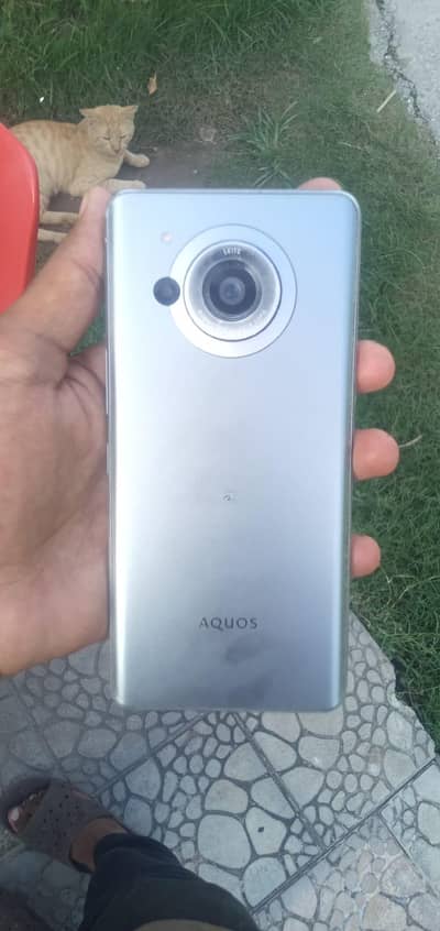 Aquas R7