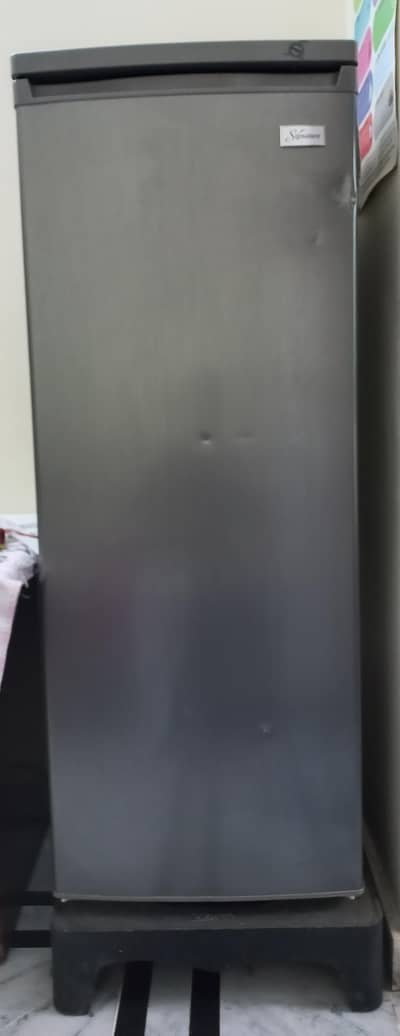 Signature Chest Freezer V