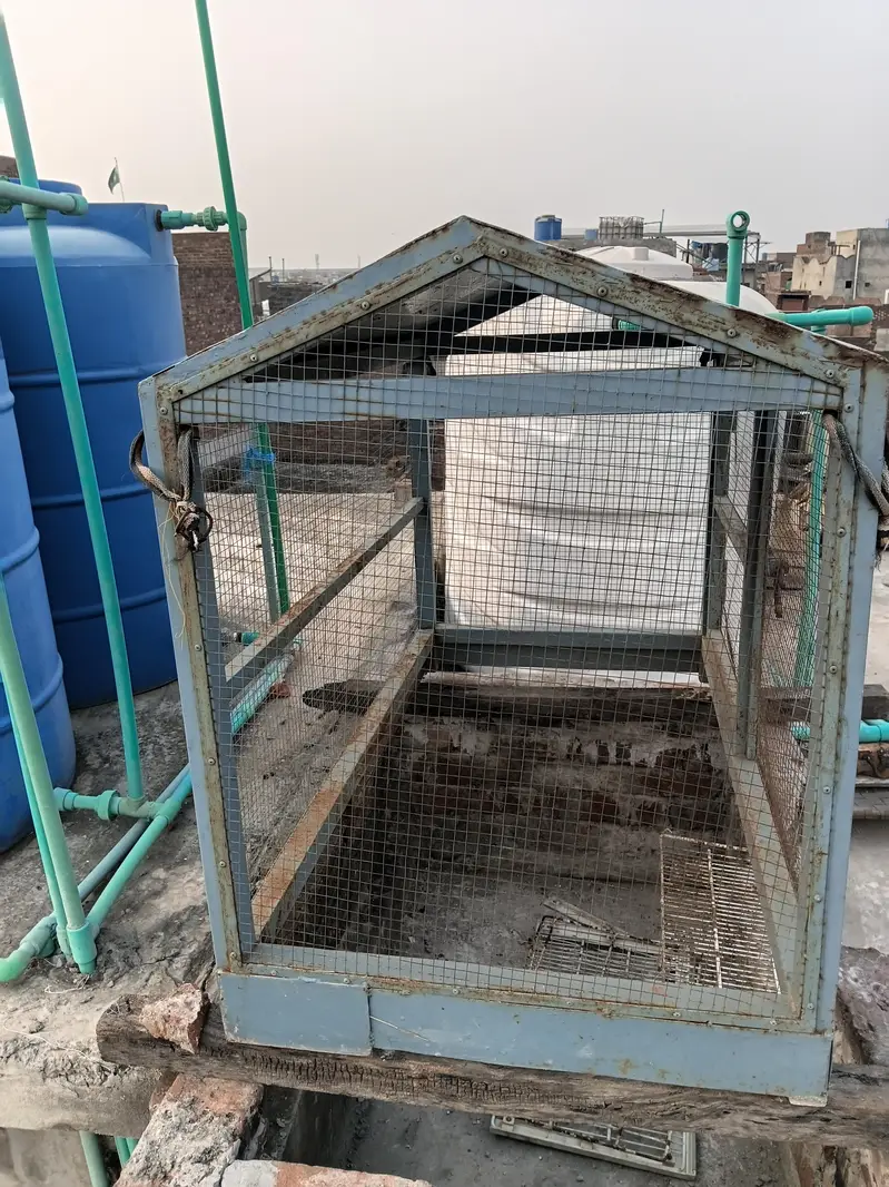 1 big cagr +1 small cage — photo 3