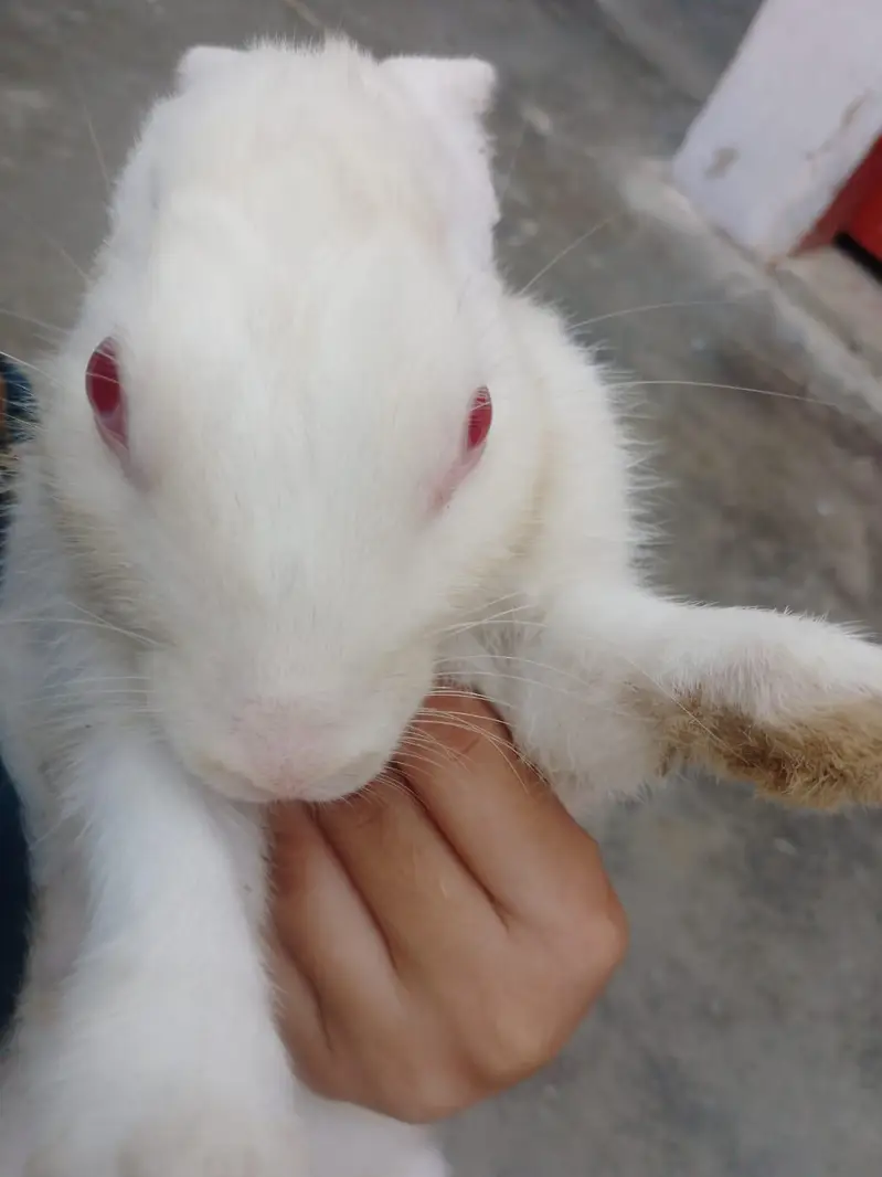 Male Female — photo 4
