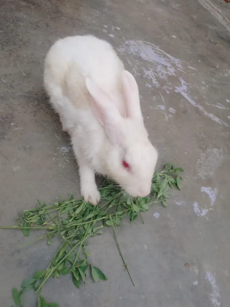 Male Female — photo 5