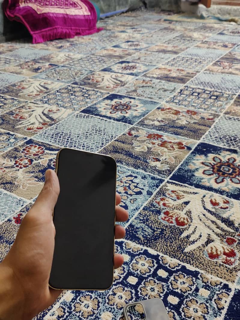 Apple iPhone 12 Pro Max 3