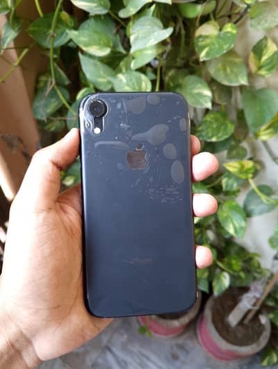 Apple iPhone XR JV