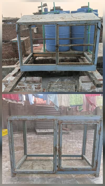 1 big cagr +1 small cage